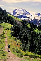 Hiking Toward Mt. Baker on Skyline Divide (v1)